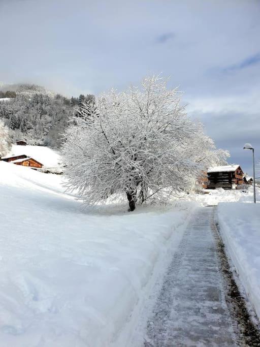 Appartamento Charmant Studio Duplex 26m2 à la montagne Praz-sur-Arly Esterno foto